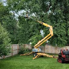Best Grass Overseeding  in Sierra View, PA