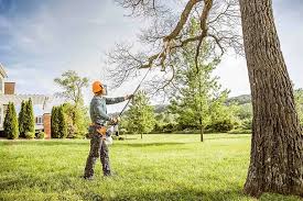 Best Hedge Trimming  in Sierra View, PA