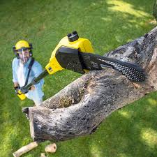 Best Firewood Processing and Delivery  in Sierra View, PA
